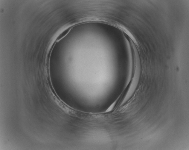 X0000073711148200608171132