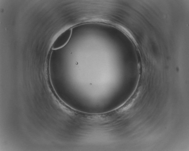 X0000073711149200608171132