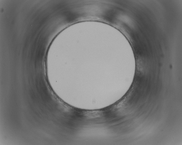 X0000073711150200608171132