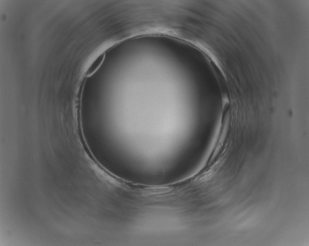 X0000073711151200608171132