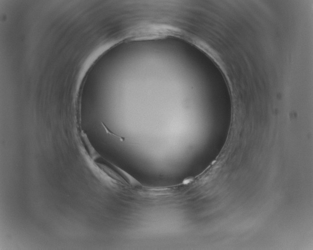 X0000073711152200608171132