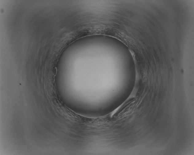 X0000073711153200608171131