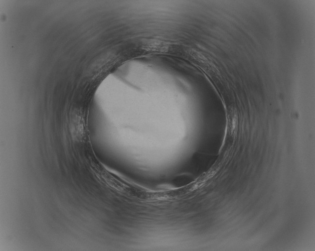 X0000073711154200608171131