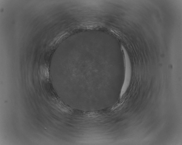 X0000073711155200608171131