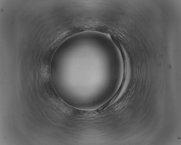 X0000073711156200608171131