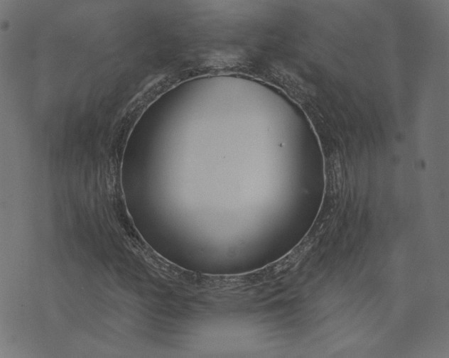 X0000073711158200608171131