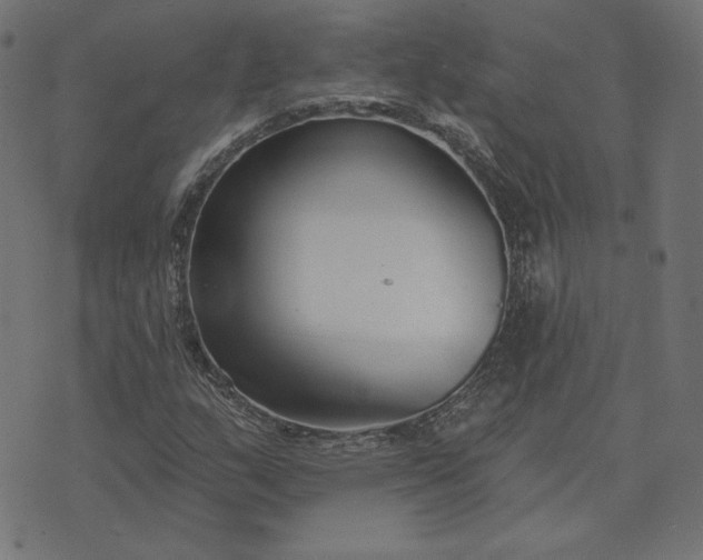 X0000073711159200608171131