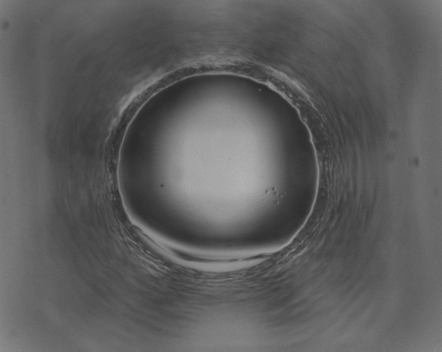 X0000073711160200608171131