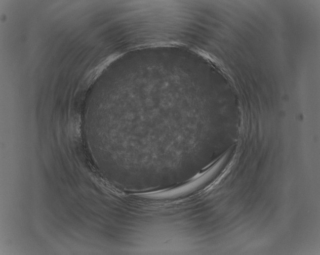 X0000073711161200608171131