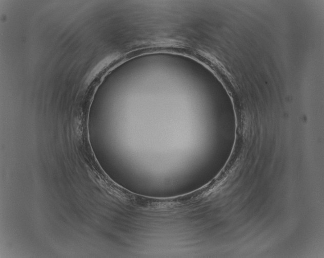 X0000073711163200608171131