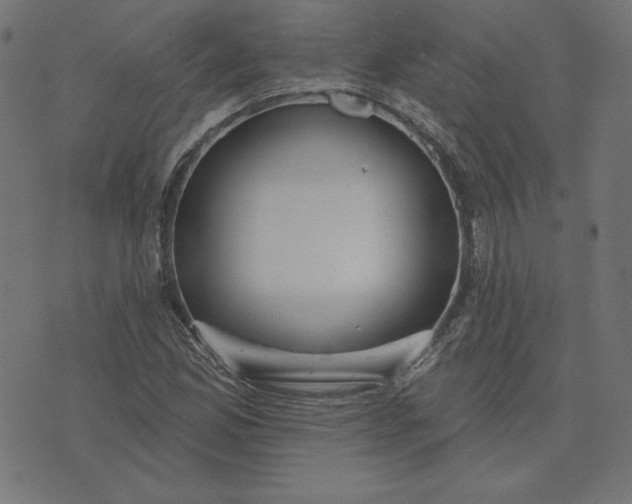 X0000073711165200608171131