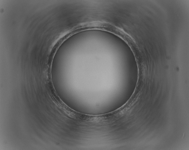 X0000073711166200608171131