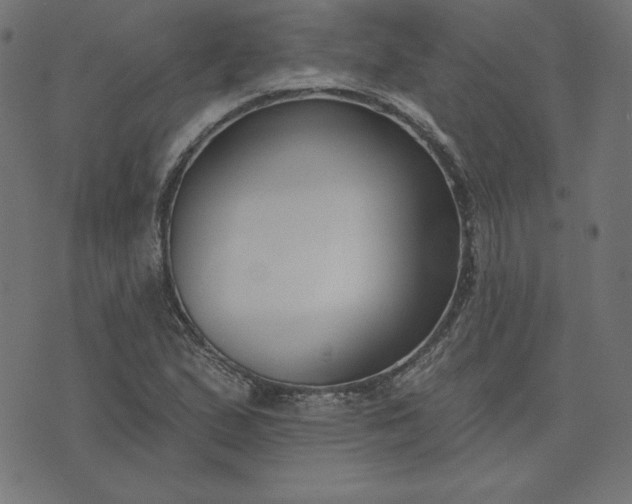 X0000073711167200608171131