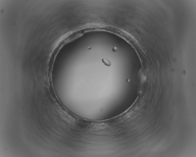 X0000073711168200608171131