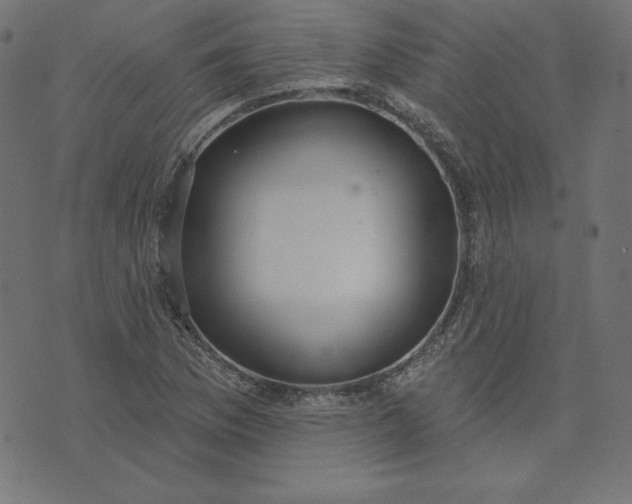 X0000073711169200608171131