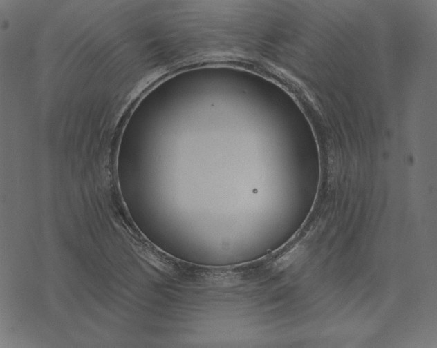 X0000073711170200608171131