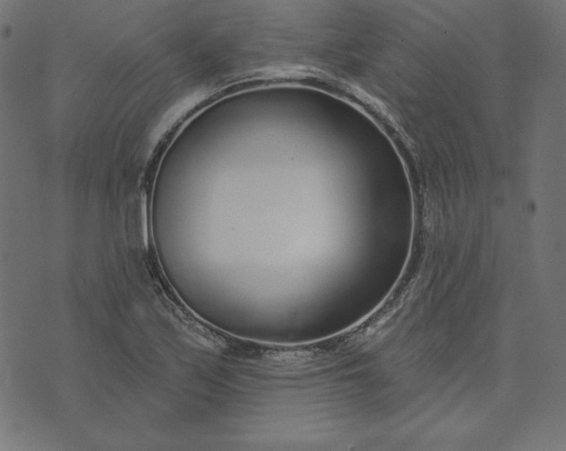 X0000073711171200608171131