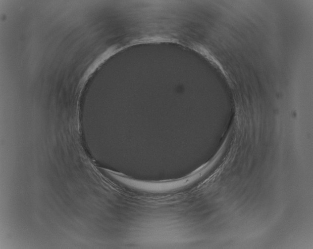 X0000073711173200608171131