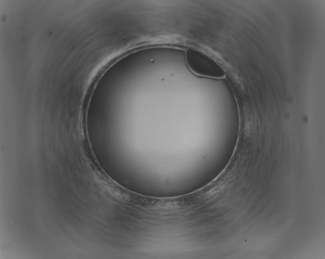 X0000073711174200608171131