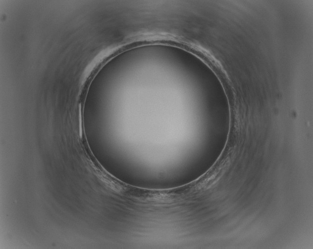 X0000073711175200608171130