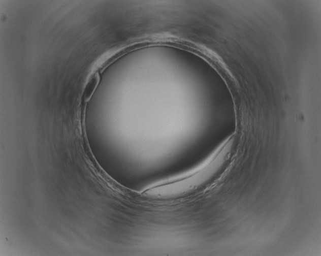 X0000073711176200608171130