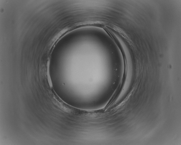 X0000073711177200608171130