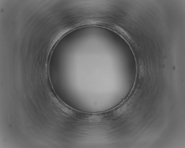 X0000073711178200608171130