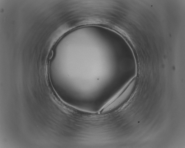 X0000073711179200608171130