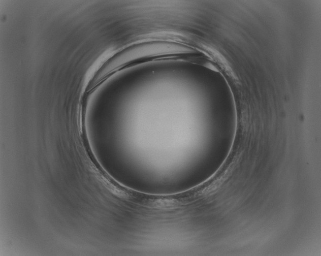 X0000073711180200608171130