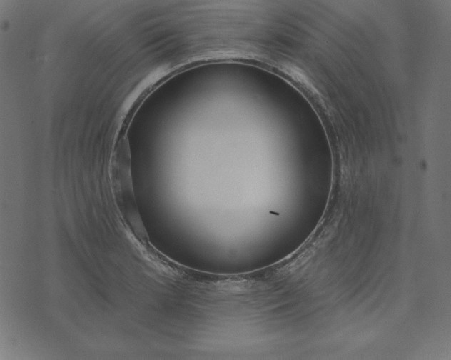 X0000073711181200608171130