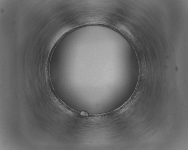 X0000073711182200608171130