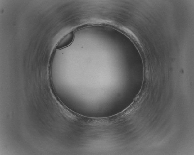 X0000073711183200608171130