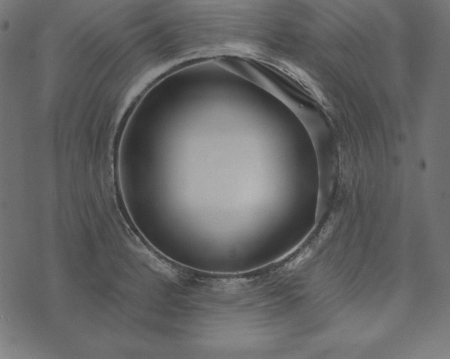 X0000073711184200608171130