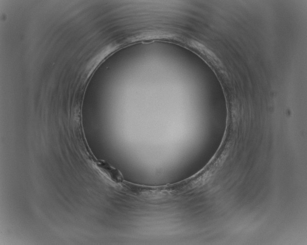 X0000073711185200608171130