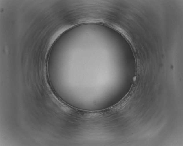 X0000073711187200608171130