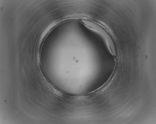 X0000073711188200608171130