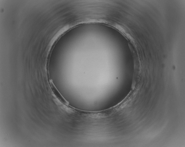 X0000073711189200608171130