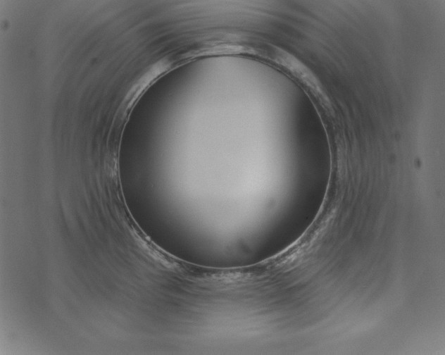 X0000073711193200608171130