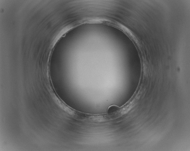 X0000073711194200608171130