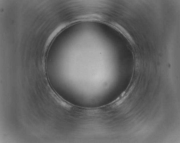 X0000073711196200608171130