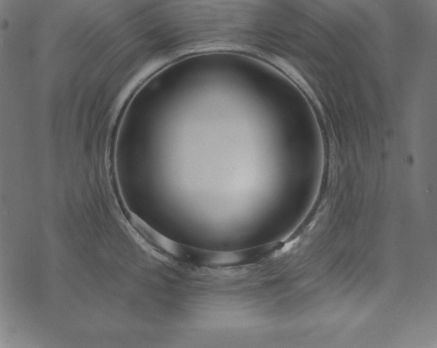 X0000073711197200608171130