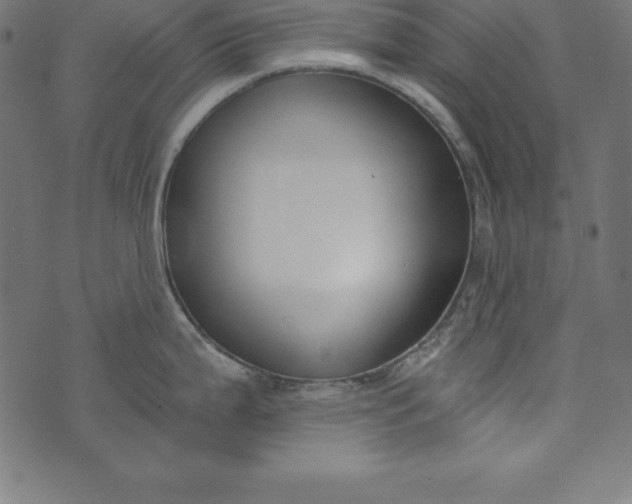 X0000073711199200608171130