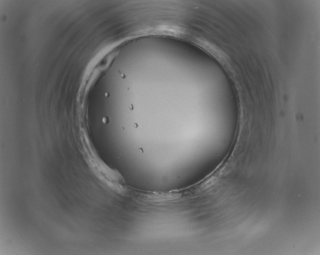 X0000073711200200608171130