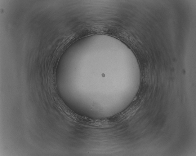 X0000073711201200608171129