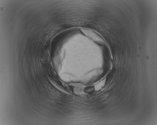 X0000073711202200608171129