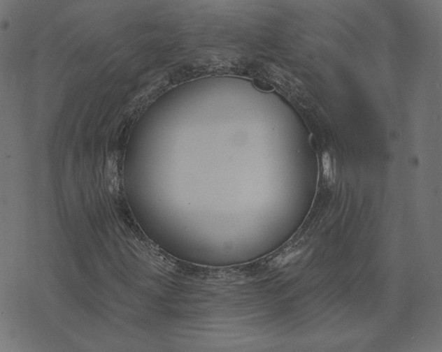 X0000073711203200608171129