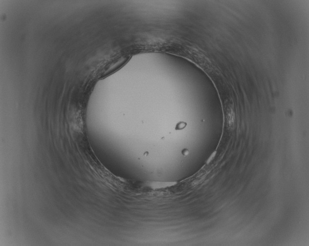 X0000073711204200608171129