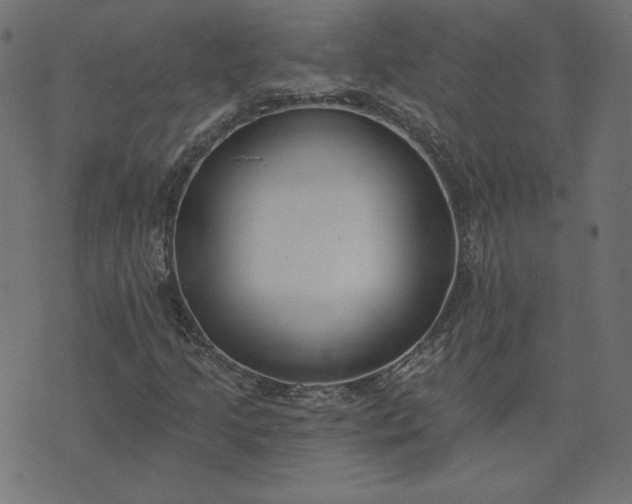 X0000073711205200608171129