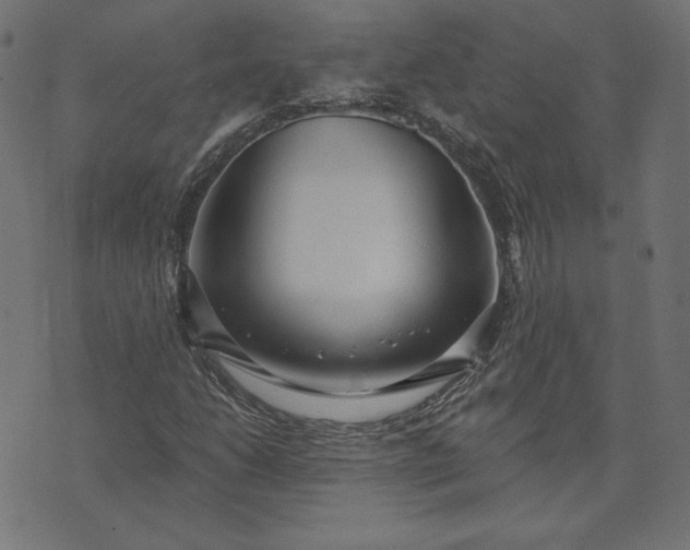 X0000073711206200608171129