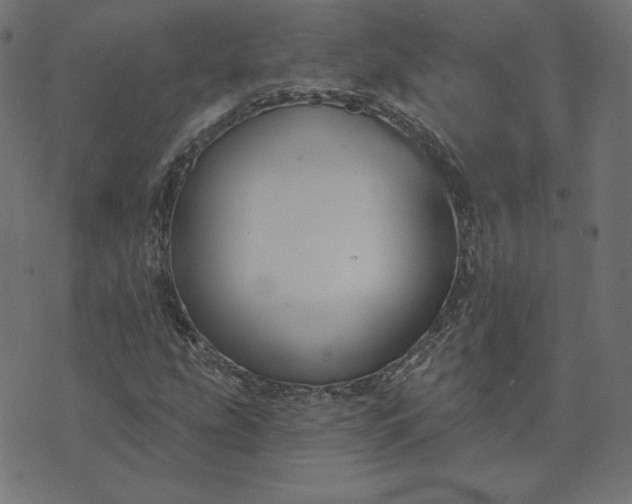 X0000073711207200608171129